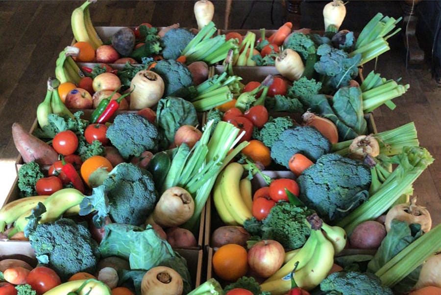 Grocery boxes of fresh vegetables