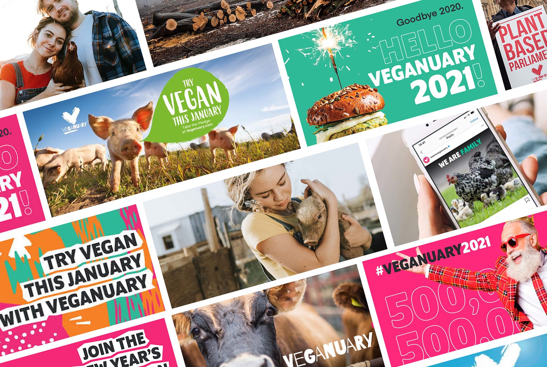 Veganuary Header graphic