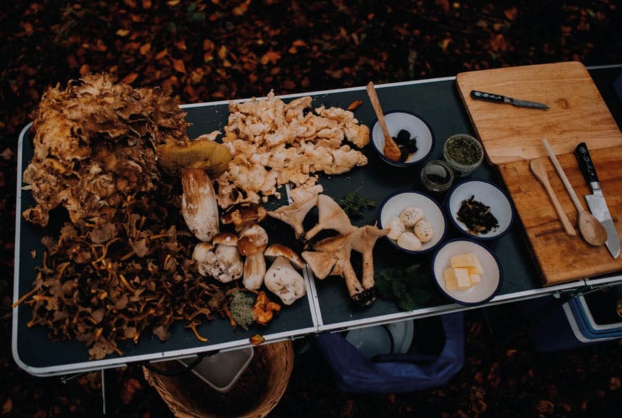 Platter of fresh seasonal ingredients