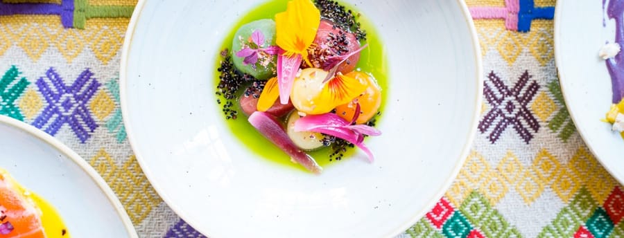 03-blog-detox-casita-andina-image-900x604