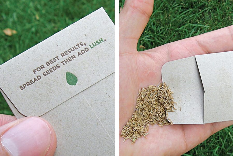 03-blog-cards image-900x604 01b