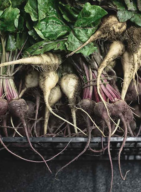 Waste not Want not - Vegetables