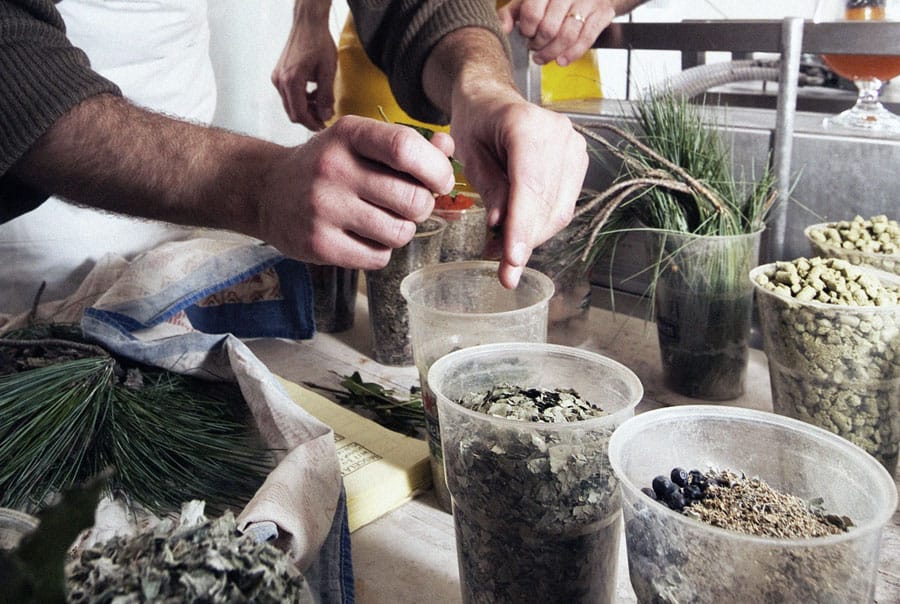 Hip Hops Beer Branding - Hops